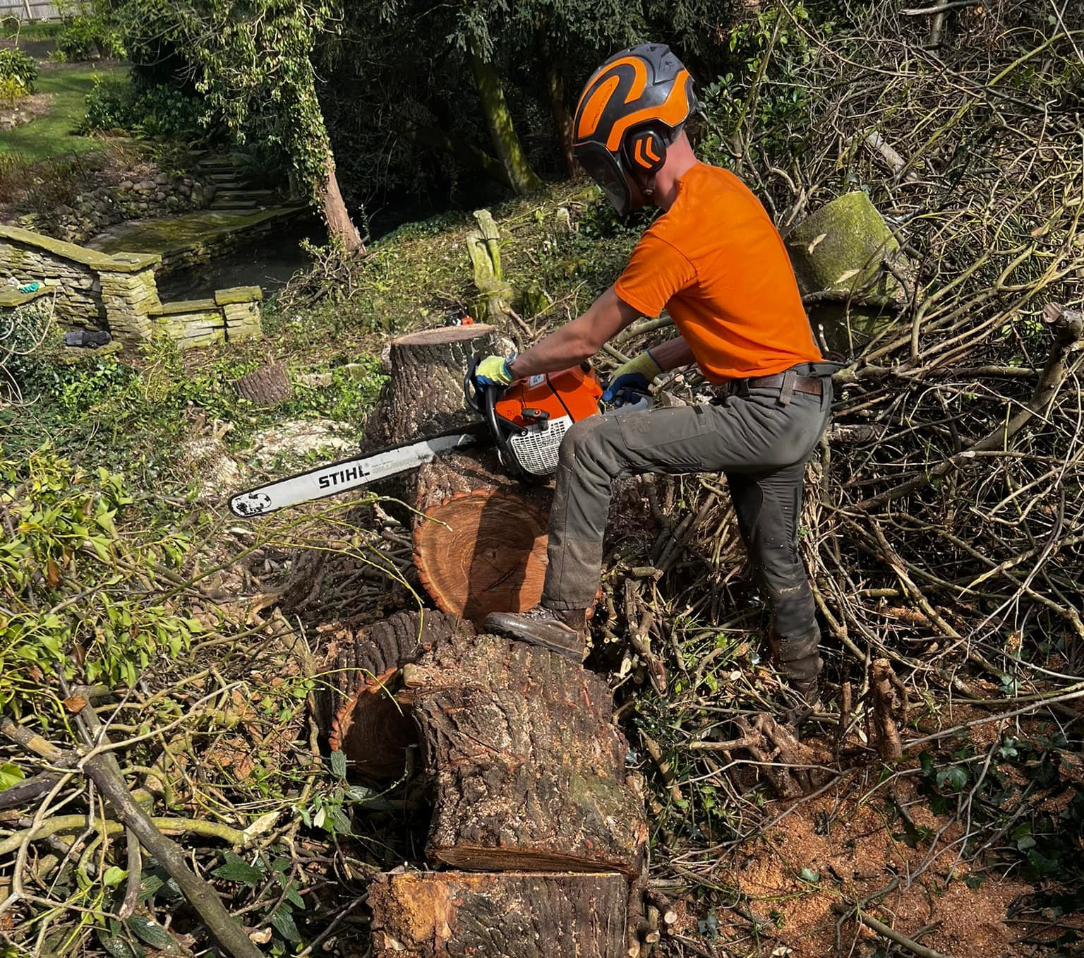 Tree Surgeons & Garden Specialists Cambridgeshire